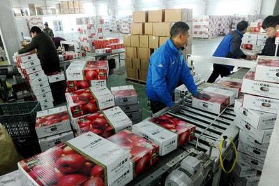 國家林草局組織產(chǎn)銷對接助力林業(yè)復(fù)產(chǎn)復(fù)工，暢通產(chǎn)品銷售渠道