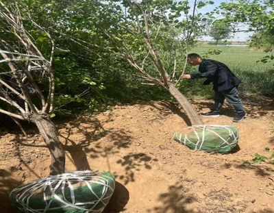 聞喜縣林業局強化春季綠化苗木調運檢疫，保障林業產品銷售安全